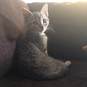 Meet your Posher, Maddie